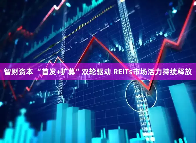 智财资本 “首发+扩募”双轮驱动 REITs市场活力持续释放