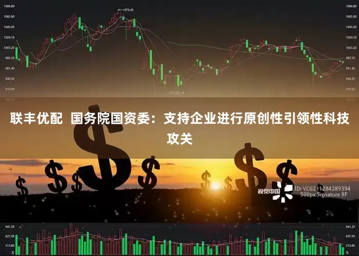 联丰优配  国务院国资委：支持企业进行原创性引领性科技攻关
